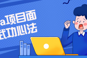 Java项目面试武功心法课程