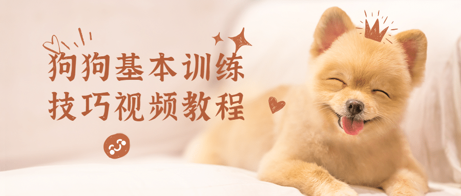 狗狗基本训练技巧视频教程3162213742453716036.png