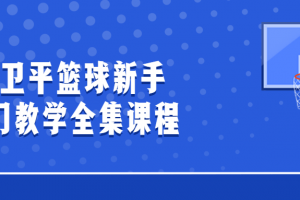 张卫平篮球新手入门教学全集课程