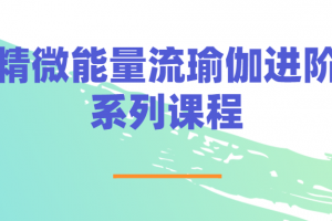 精微能量流瑜伽进阶系列课程