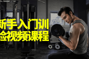 健身新手入门训练履历视频课程