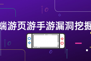 端游页游手游破绽挖掘