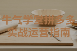 牛气学堂拼多多实战运营指南