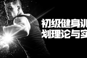 低级健身训练设计理论与实训课