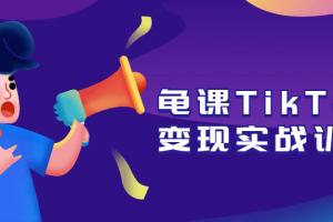 龟课TikTok变现实战训练营