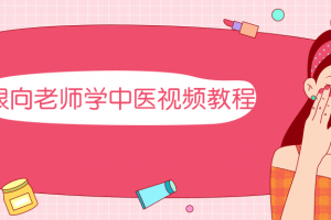 跟向先生学中医视频教程