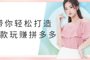 带你轻松打造爆款玩赚拼多多