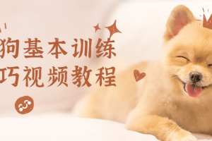 狗狗基本训练技巧视频教程