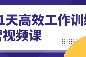 21天高效事情训练营视频课