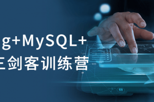 Spring+MySQL+JVM三剑客训练营
