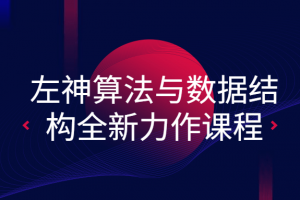 左神算法与数据结构全新力作课程
