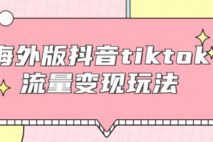 海外版抖音tiktok流量变现玩法