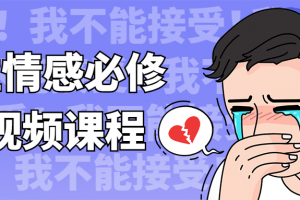 男性情感必修术视频课程