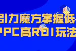 引力魔方掌握低PPC高ROI玩法
