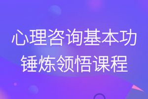 心理咨询基本功锤炼领悟课程