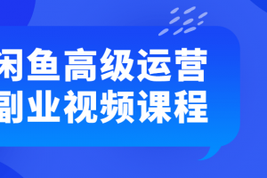 闲鱼高级运营副业视频课程