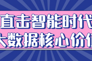 直击智能时代大数据核心价值