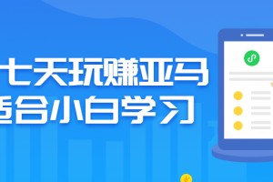 教你七天玩赚亚马逊适合小白学习