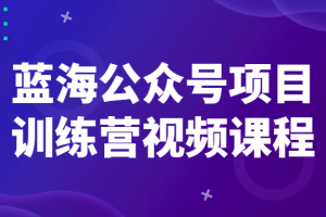 蓝海公众号项目训练营视频课程