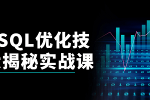 MySQL优化技巧大揭秘实战课