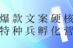爆款文案硬核特种兵孵化营