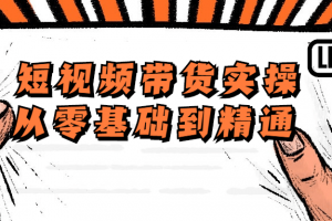 短视频带货实操从零基础到精通