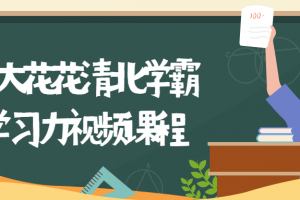 北大花花清北学霸学习力课程