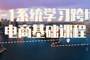 0-1系统学习跨境电商基础课程