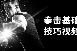 拳击基础练习技巧视频课程