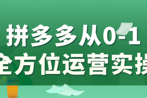 拼多多从0-1全方位运营实操