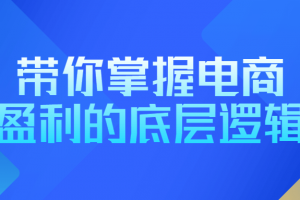 带你掌握电商盈利的底层逻辑