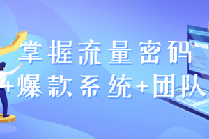 掌握流量密码+爆款系统+团队