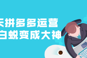 21天拼多多运营课小白蜕变成大神