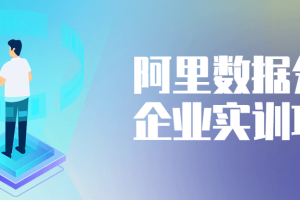 阿里数据分析企业实训项目