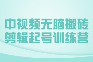 中视频无脑搬砖剪辑起号训练营
