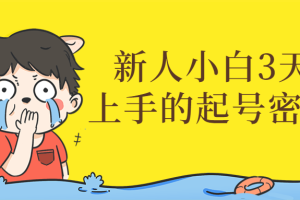 新人小白3天能上手的起号密训营