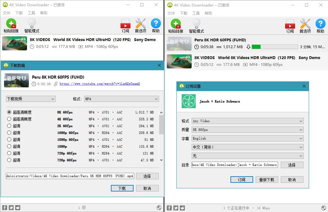 4K Video Downloader v4.24.4.54303539804585289849695.jpg