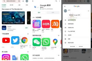 Google Play Store v36.3.12