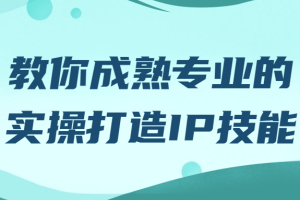 教你成熟专业的实操打造IP技能