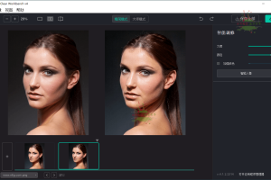 Perfectly Clear WorkBench v4