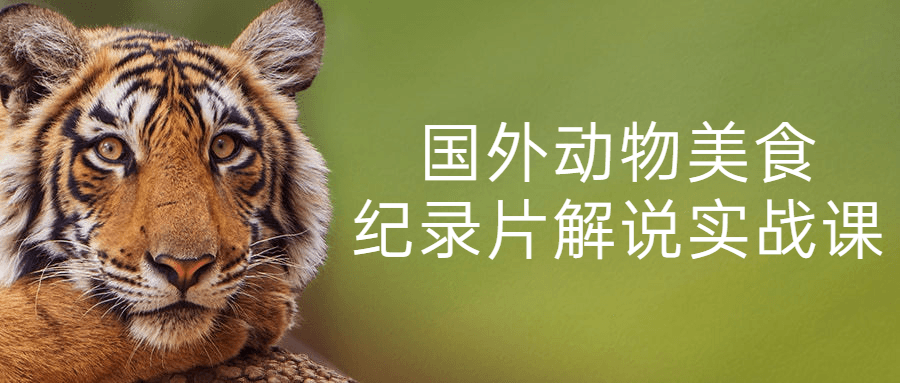 国外动物美食纪录片解说实战课6978554665840001722.png