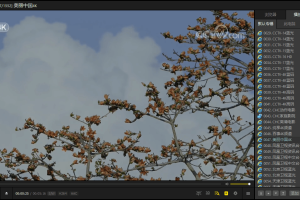 PotPlayer v1.7.21952绿色版