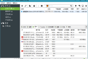 uTorrent Pro v3.6.0.46830绿色版