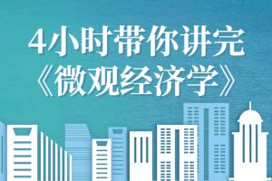 4小时带你讲完《微观经济学》
