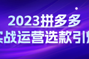 2023拼多多实战运营选款引爆