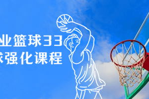 Art职业篮球33天运球强化课程