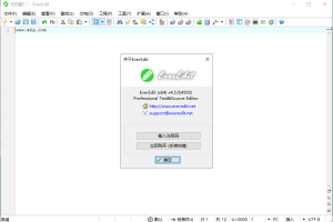 EverEdit文本编辑器v4.5.0.4500绿色版