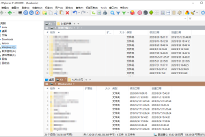 XYplorer v25.00.0000绿色版
