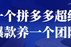 一个拼多多超级爆款养一个团队