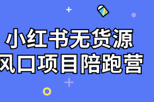 小红书无货源风口项目陪跑营